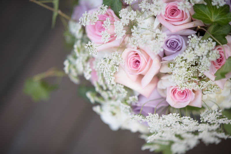 玫瑰的特写照片Close-Up Photo of Roses|4 k壁纸,婚礼花束,布鲁姆,新娘花束,景深,植物区系,模糊,焦点,特写镜头,玫瑰,盛开的,精致的,美丽的,花,花壁纸,花束,花瓣,高清壁纸-海量高质量免版权图片素材-设计师素材-摄影图片-mitapix-美塔图像