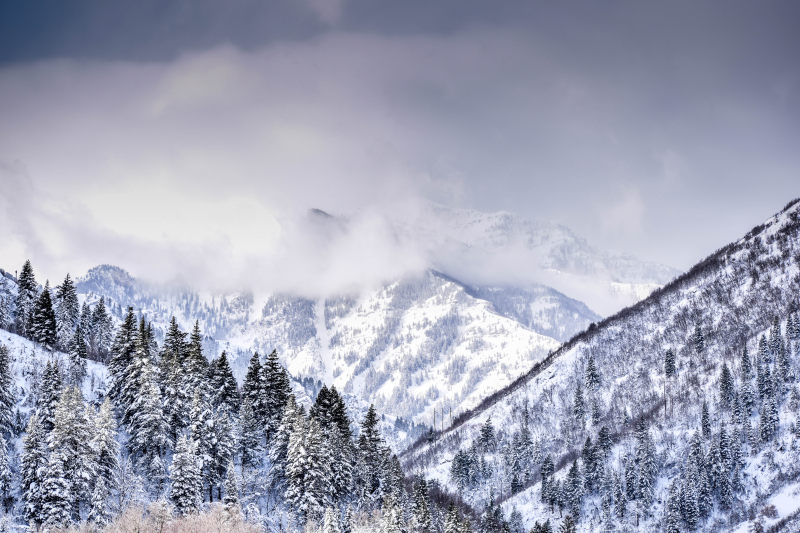 被树和雪覆盖的山|冒险,冬天,冰,冰冻,冰川,冷,大,天气,季节,山,山峰,户外,旅行,日光,树木,自然,雪,雾,霜冻,风景,高山-海量高质量免版权图片素材-设计师素材-摄影图片-mitapix-美塔图像