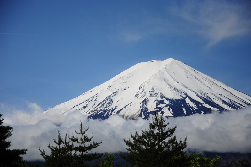 探险高山寒冷|冬天,冷杉,大自然,天空,寒冷,山峰,山脉,户外,探险,旅行,日光,松树,针叶树,雪,霜冻,风景,高山-海量高质量免版权图片素材-设计师素材-摄影图片-mitapix-美塔图像