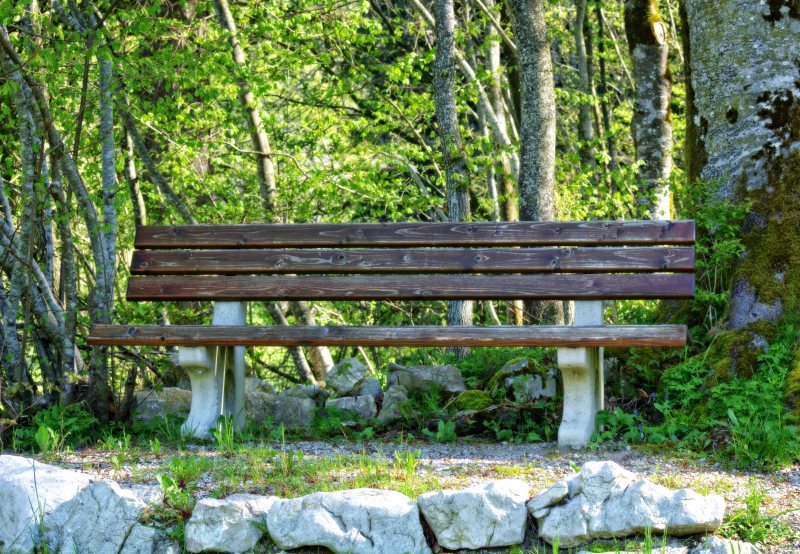 在公园长椅上Bench in Park|adventure,bench,Daylight,empty,environment,Flora,forest,Garden,Grass,landscape,moss,nature,outdoors,Park,pathway,rest,scenic,Season,seat,summer,Trees,wooden,woods,休息,公园,冒险,夏季,夏时制,季节,工作台,座位,性质,户外,景区,景观,木,树木,森林,植物区系,环境,空,花园,苔藓,草,通路-海量高质量免版权图片素材-设计师素材-摄影图片-mitapix-美塔图像