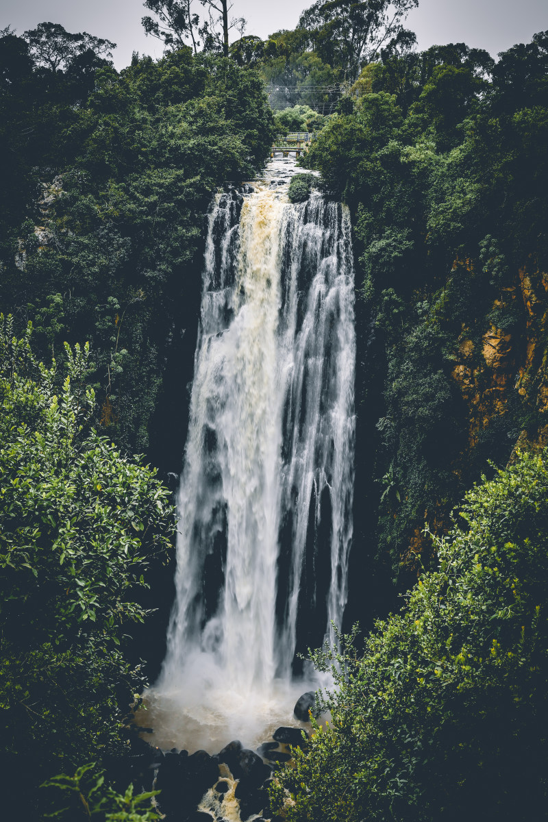 树间瀑布|夏天,山脉,岩石,户外,探险,旅游癖,旅行,树木,森林,水,水流,河流,溪流,瀑布,环境,自然,野生动植物,长期暴露,风景-海量高质量免版权图片素材-设计师素材-摄影图片-mitapix-美塔图像