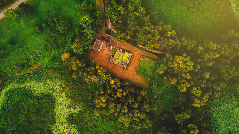 高纬度摄影的树木和植物High-angle Photography of Trees and Plants|丛林,在户外,无人机凸轮,无人机拍摄的,无人机摄影,树,沼泽,环境,神奇的航拍镜头,空中,鸟眼视图,鸟瞰图-海量高质量免版权图片素材-设计师素材-摄影图片-mitapix-美塔图像