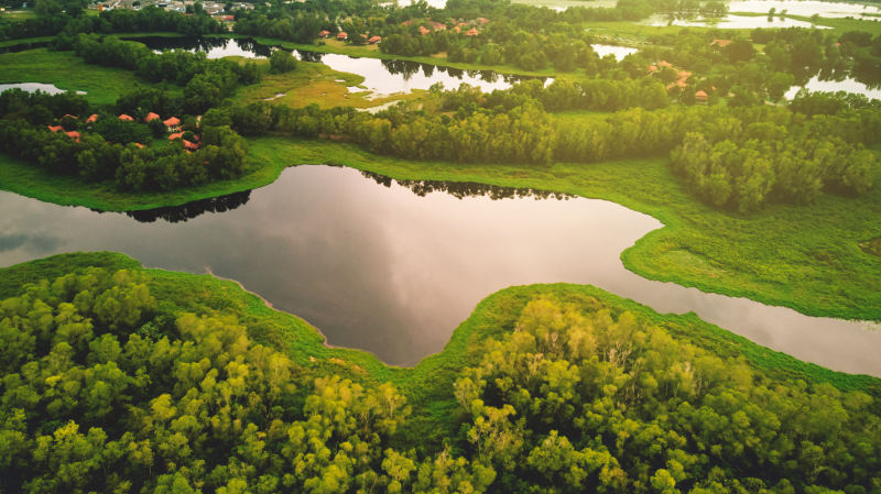 航空摄影的水形成被绿树包围着Aerial Photography of Water Formation Surrounded by Green Trees|俯拍,公园,农村,农田,反射,在户外,夏天,旅行,无人机拍摄的,无人机视频,日光,景观,树,水,池,沼泽,湖,环境,秋天,自然,航空摄影,草,风景优美的,鸟瞰-海量高质量免版权图片素材-设计师素材-摄影图片-mitapix-美塔图像