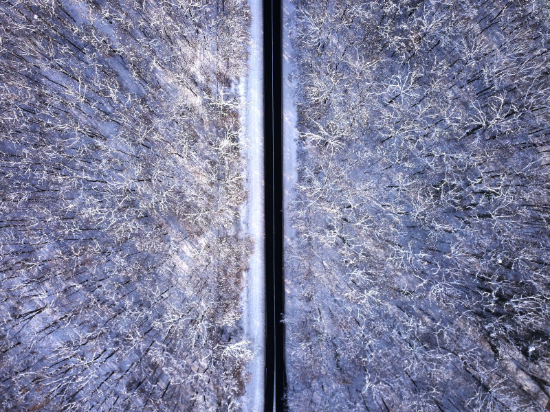 空中射击的树Aerial Shot Of Trees|从上面,冬天,树,森林,空中拍摄,路,雪,鸟瞰-海量高质量免版权图片素材-设计师素材-摄影图片-mitapix-美塔图像