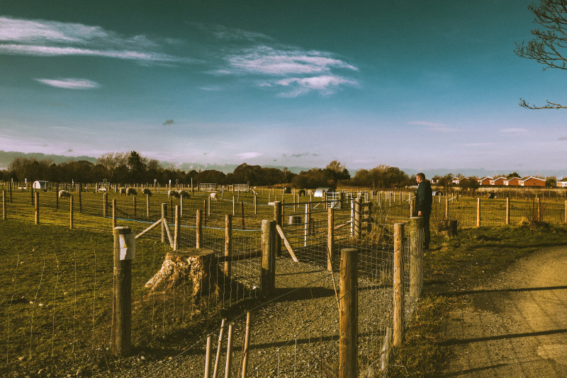 站在面前的栅栏Man Standing in Front of Fences|agriculture,animals,Clouds,countryside,Daylight,farm,farmland,fence,Field,Grass,grassland,landscape,Light,livestock,mammal,Man,outdoors,outside,pasture,person,rural,scenic,Sky,Travel,wooden fence,云,人,光,农业,农场,农村,农田,动物,哺乳动物,在户外,外面,天空,旅行,日光,木栅栏,栅栏,牧场的人,牲畜,草原,草地,领域,风景-海量高质量免版权图片素材-设计师素材-摄影图片-mitapix-美塔图像