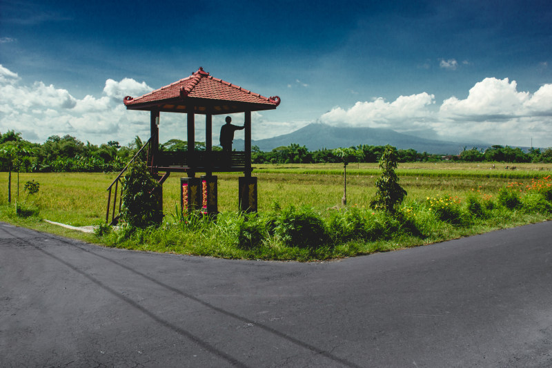 农场景观照片，角落有露台|乡村,云彩,人,农业,农场,农田,向导,夏天,天空,户外,旅行,日光,晴空,树木,沥青,田野,稻田,自然,草地,街道,轮廓,道路,露台,风景-海量高质量免版权图片素材-设计师素材-摄影图片-mitapix-美塔图像