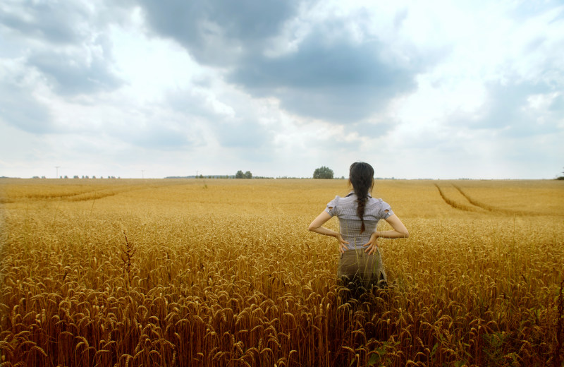 站立在麦田的妇女Woman Standing on Wheat Field|agriculture,back view,Clouds,countryside,cropland,crops,farmland,female,Field,Growth,horizon,lady,landscape,nature,outdoors,person,photoshoot,pose,posing,posture,rural,Sky,standing,wheat,wheat field,woman,乡下,云彩,人,农业,农村,农田,后面看法,天空,天际,夫人,女人,女性,姿势,小麦,庄稼,成长,户外,摆在,站立,自然,领域,风景,麦田-海量高质量免版权图片素材-设计师素材-摄影图片-mitapix-美塔图像