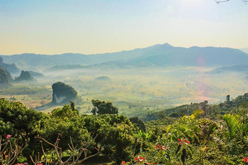 山的景色|乡村,农业,夏天,天空,季节,宁静,小山,山,岩石,新鲜,旅游,日出,早晨,朦胧,树木,树林,森林,植物,泰国,热带,环境,田园诗,美景,背景,自然,薄雾,阴暗,雨林,雾,风景-海量高质量免版权图片素材-设计师素材-摄影图片-mitapix-美塔图像