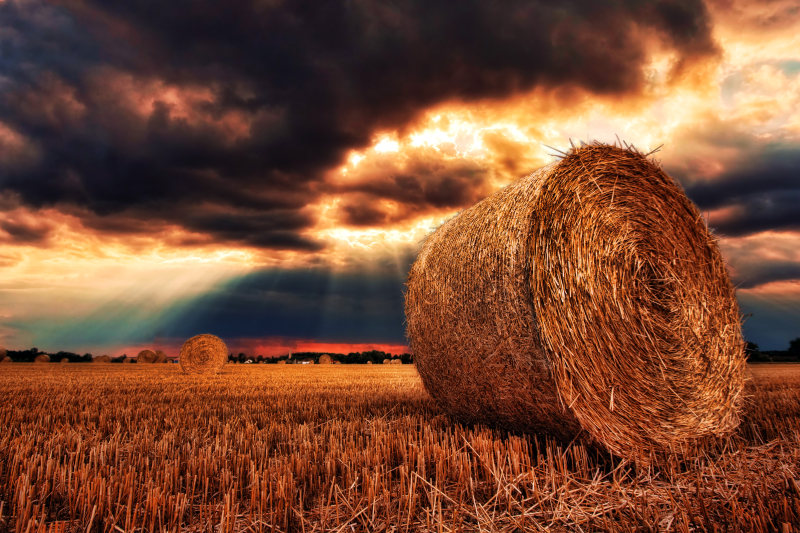 棕色圆形大包Brown Round Bale|agriculture,Brown,countryside,crop,cropland,Dawn,farm,farmland,Field,harvest,hay,pasture,straw,sunset,作物,农业,农场,农村,农田,干草,收获,日落,棕色,牧场,田地,稻草,黎明-海量高质量免版权图片素材-设计师素材-摄影图片-mitapix-美塔图像