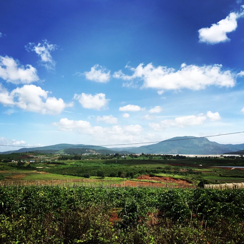 蓝天下草地Grass Field Under Blue Sky|agriculture,Clouds,countryside,cropland,Daylight,farm,Field,Grass,grassland,hill,landscape,mountains,nature,outdoors,rural,scenic,Sky,Trees,丘陵,云,农业,农场,农村,农田,场,天空,山,户外,日光,景观,树木,自然,草,草原,风景-海量高质量免版权图片素材-设计师素材-摄影图片-mitapix-美塔图像