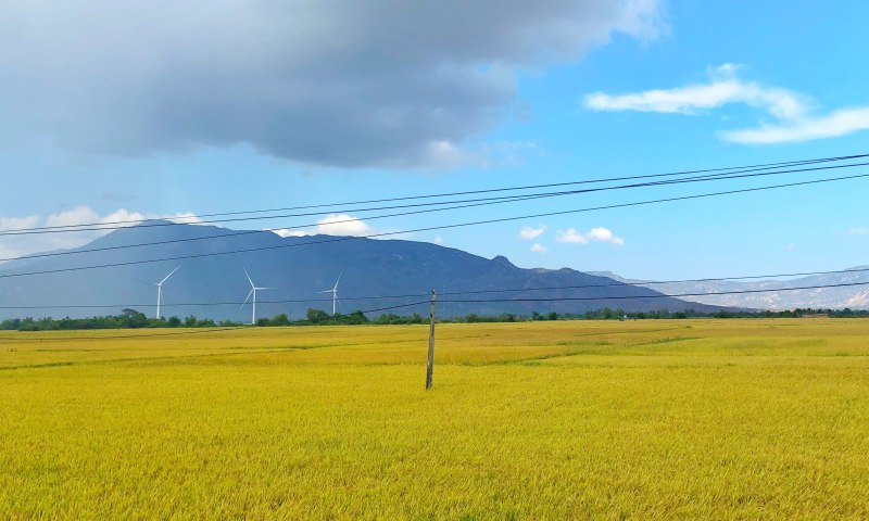 农业农村|免版税形象,农业,农作物,农场,农村,农田,干草地,户外,景观,牧场,田地,绿地,耕地,草地-海量高质量免版权图片素材-设计师素材-摄影图片-mitapix-美塔图像