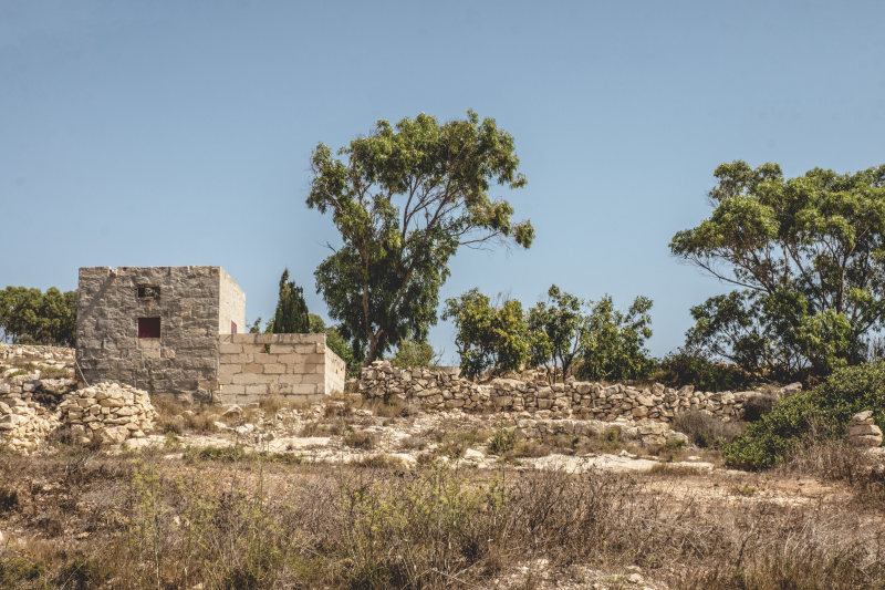 古代考古建筑|历史,古老,地标,天空,宁静,宗教,岩石,建筑,户外,旅游,旅行,日光,景观,树木,毁了,沙子,田园,石头,纪念碑,考古,草,风景,马耳他-海量高质量免版权图片素材-设计师素材-摄影图片-mitapix-美塔图像