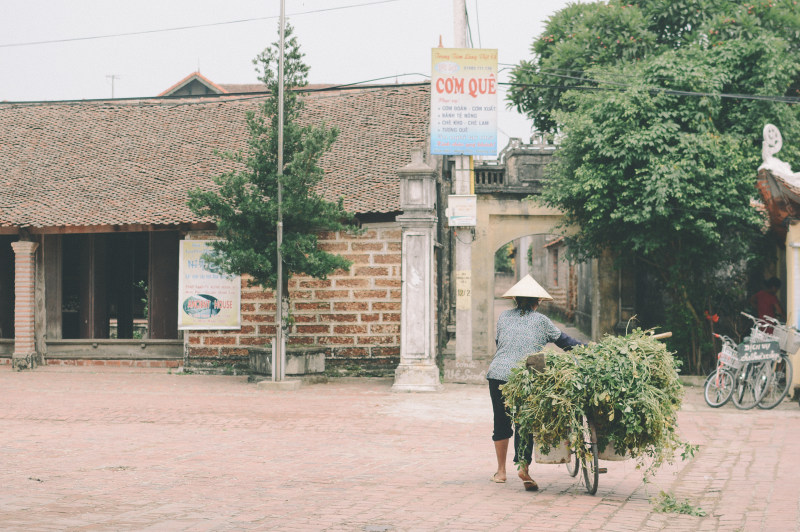 一个拿着自行车和植物的人|人行道,农民,古建筑,城镇,夏天,建筑,户外,收割,旅游,日光,木材,村庄,树木,河内,白天,老妇人,自行车,街道,越南,道路,遗产-海量高质量免版权图片素材-设计师素材-摄影图片-mitapix-美塔图像