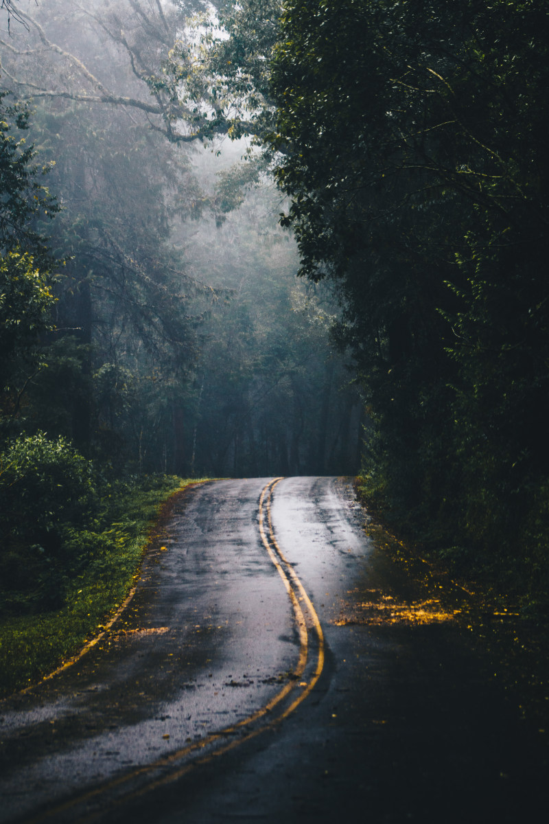 白天丛林中央灰色水泥路的照片|Android壁纸,光,公路,山,户外,指南,旅行,日光,曲线,木材,树木,森林,沥青,潮湿,秋天,自然,道路,锁屏壁纸,雾,风景,黎明,黑暗-海量高质量免版权图片素材-设计师素材-摄影图片-mitapix-美塔图像