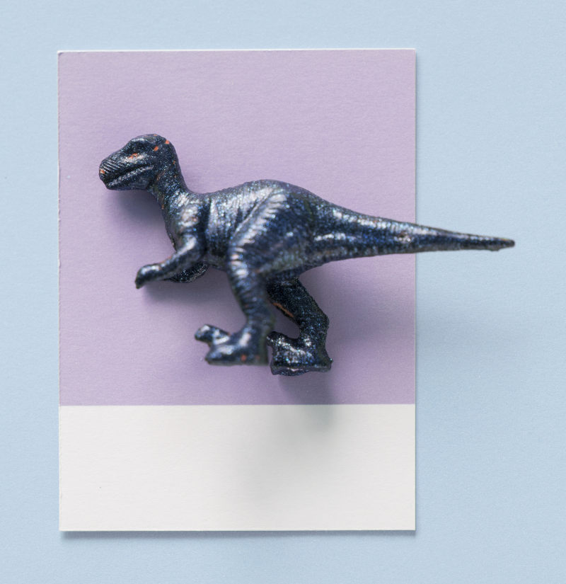 紫色和白色纸上黑色的恐龙玩具Black Dinosaur Toy on Purple and White Paper|动物,卡,史前,图,塑料,小,小雕像,微型,恐龙,有创意的,模型,特写镜头,玩具,紫色的,纸,背景,蓝色的,装饰-海量高质量免版权图片素材-设计师素材-摄影图片-mitapix-美塔图像