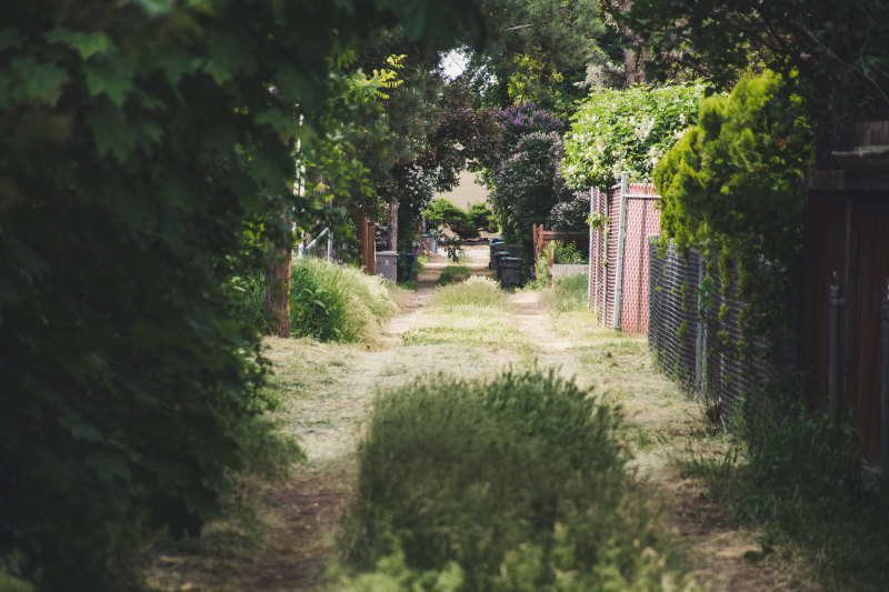 绿色的草地通路Green Grass Field Pathway|Architecture,Daylight,environment,Garden,Grass,guidance,House,landscape,Light,outdoors,Park,road,scenic,summer,Travel,Trees,公园,园林,夏季,建筑,户外,房子,指导,旅游,景区,景观,树,灯光,环境,草,道路,采光-海量高质量免版权图片素材-设计师素材-摄影图片-mitapix-美塔图像