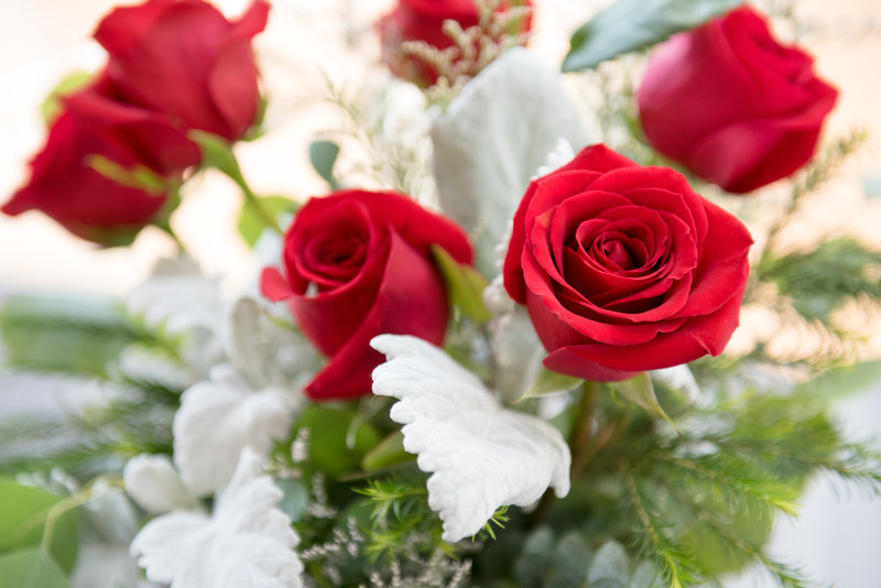 选择聚焦摄影的红玫瑰花朵Selective Focus Photography of Red Rose Flowers|安排,开花,插花,明亮的,植物区系,特写镜头,玫瑰,盛开的,美丽的,花,花束,花瓣,装饰,颜色,香-海量高质量免版权图片素材-设计师素材-摄影图片-mitapix-美塔图像