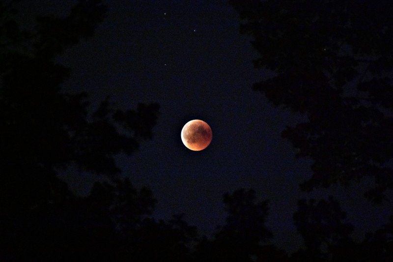 血月选择性彩色摄影|占星学,夜晚,天体,天体摄影,天文学,太空,宇宙,日食,星星,月亮,月光,月球,满月,美丽,自然,银河系,黑暗-海量高质量免版权图片素材-设计师素材-摄影图片-mitapix-美塔图像