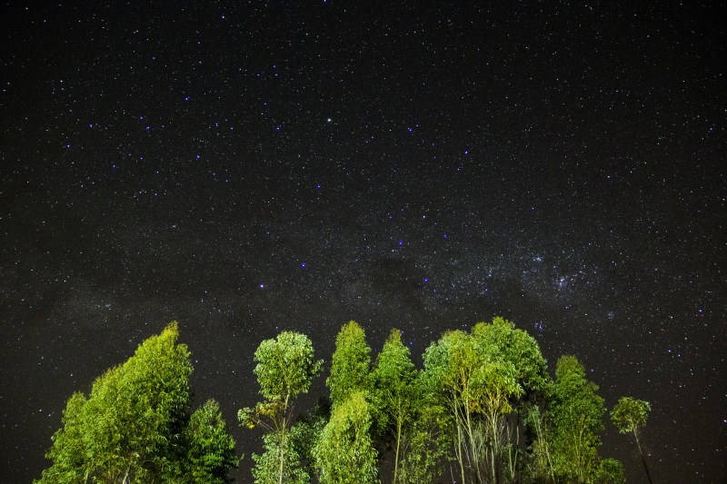 占星术|占星术,夜晚,天文学,天空,太空,户外,星星,星空,树木,自然,风景,黑暗-海量高质量免版权图片素材-设计师素材-摄影图片-mitapix-美塔图像