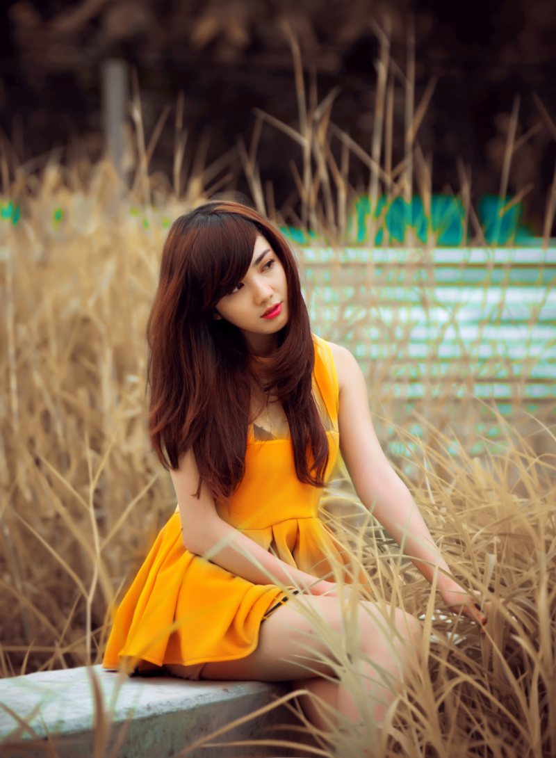 女人穿着喇叭连衣裙坐在长椅上包围草Woman Wearing Flare Dress Sitting on Bench Surrounded by Grass|attractive,Beautiful,beauty,Blur,closeup,dress,Fashion,female,Grass,lady,model,person,photoshoot,style,wear,woman,Young,人,女人,女士,女性,年轻,拍摄,时尚,有吸引力,模型,模糊,特写,穿,美丽,草,裙子,风格-海量高质量免版权图片素材-设计师素材-摄影图片-mitapix-美塔图像