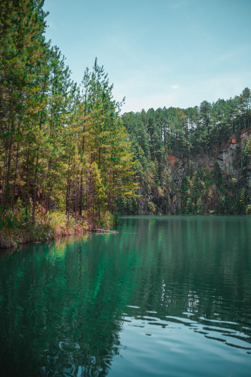 湖周围Green-leafed树Lake Surrounded by Green-leafed Trees|公共领域的图像,公园,反射,在户外,季节,旅行,日光,景观,木,树,森林,水,河,湖,环境,秋天,自然,野蛮的,针叶树,风景优美的-海量高质量免版权图片素材-设计师素材-摄影图片-mitapix-美塔图像