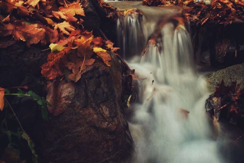 用棕色树叶落Falls With Brown Leaves|光,叶子,在户外,岩石,旅行,日光,木,模糊,水,河,流,瀑布,环境,秋天,级联,美丽的,自然,莫斯,运动,长时间曝光,风景优美的-海量高质量免版权图片素材-设计师素材-摄影图片-mitapix-美塔图像