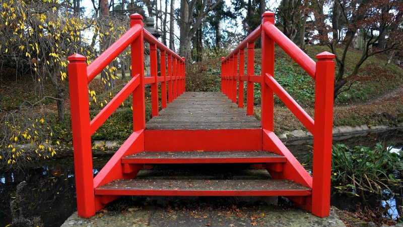 人显示红色木桥Person Showing Red Wooden Bridge|autumn,bench,Bridge,colorful,colourful,countryside,Daylight,environment,fall,Garden,Grass,landscape,Leaves,natural,nature,outdoors,Park,path,peaceful,River,road,scenery,scenic,Trees,wooden,woods,公园,农村,叶子,和平,夏时制,多彩,工作台,性质,户外,景区,景观,木,树木,桥,河,环境,秋天,秋季,自然,花园,草,路,路径,风景-海量高质量免版权图片素材-设计师素材-摄影图片-mitapix-美塔图像