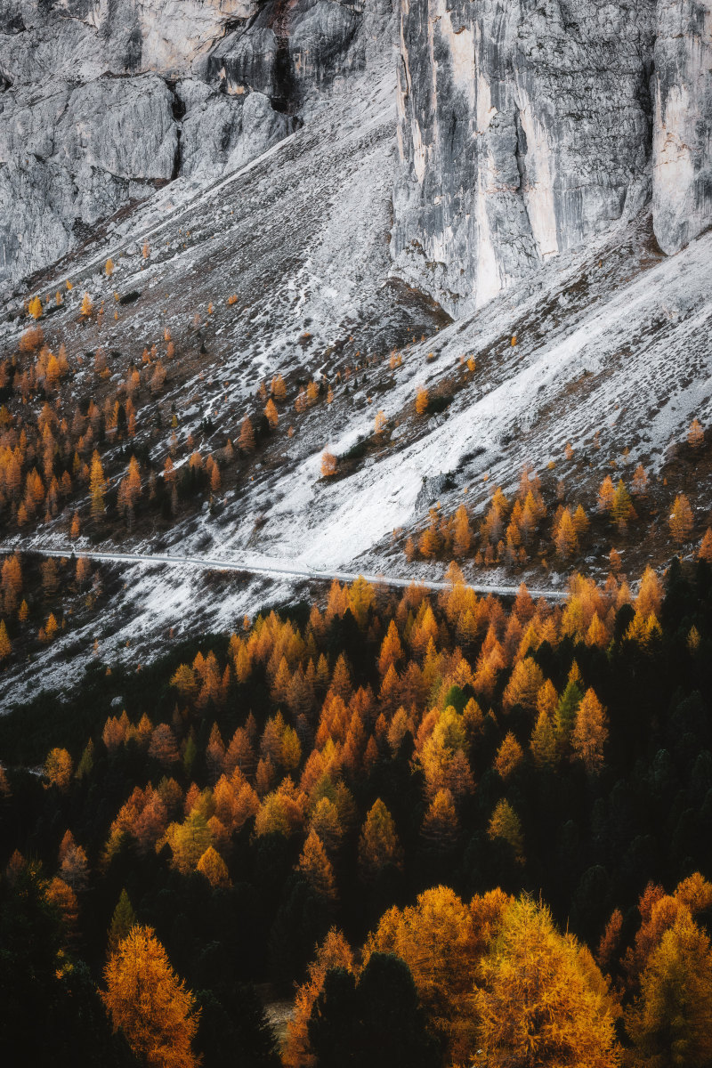 山附近的树木Trees Near Mountain|autumn,fall,forest,landscape,mountain,nature,outdoors,scenic,Trees,woods,山,户外,树,森林,秋天,自然,风景-海量高质量免版权图片素材-设计师素材-摄影图片-mitapix-美塔图像