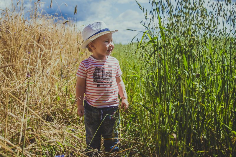 男孩站在枯萎和绿草之间Boy Standing Between Withered and Green Grasses|作物,农场,农村,农田,可爱的,在户外,场,婴儿,孩子,牧场,男孩,草,草地-海量高质量免版权图片素材-设计师素材-摄影图片-mitapix-美塔图像