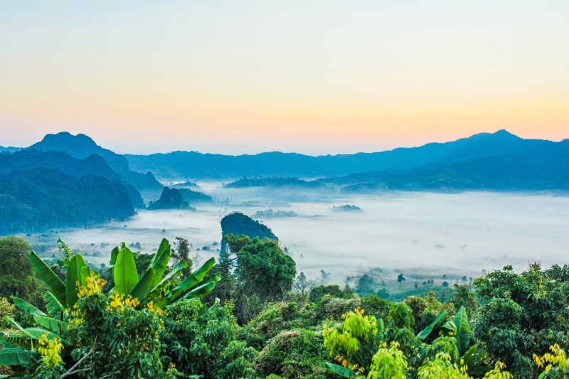 山的景色|乡村,光线,多云,天空,季节,宁静,小山,山,岩石,新鲜,旅游,早晨,朦胧,树木,树林,森林,植物,泰国,热带,环境,田园,美丽,美丽的景色,背景,自然,薄雾,阴沉,雾,风景-海量高质量免版权图片素材-设计师素材-摄影图片-mitapix-美塔图像