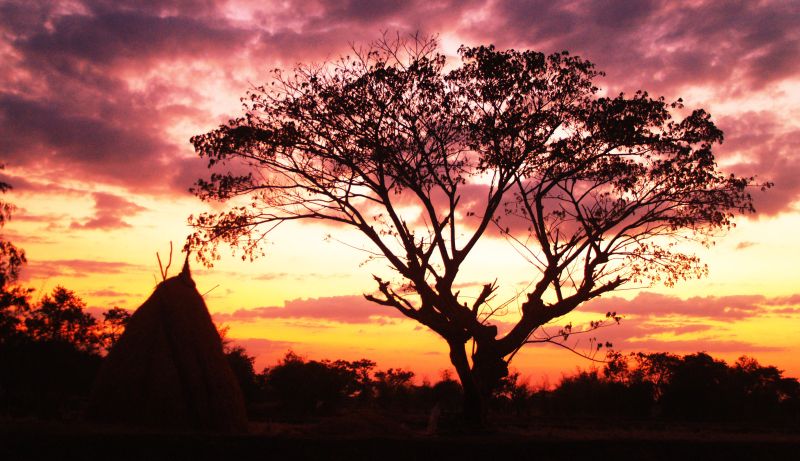 树的轮廓Silhouette of Tree|background,black,branches,Clouds,Colors,dark,environment,evening,gloomy,landscape,natural,Night,orange,Outdoor,rural,scenic,silhouette,Sky,sunset,tree,云,农村,分支机构,剪影,夜,天空,户外,日落,晚上,景观,暗,树,橙色,环境,背景,自然,阴沉,颜色,风景,黑色-海量高质量免版权图片素材-设计师素材-摄影图片-mitapix-美塔图像