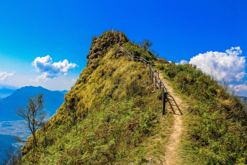 这座山的景色|乡村,云,免版税图像,天空,宁静,山,徒步,旅游,日光,景色,暗,栏杆,树木,植物,泰国,田园,背景,草,雾,风景,高-海量高质量免版权图片素材-设计师素材-摄影图片-mitapix-美塔图像