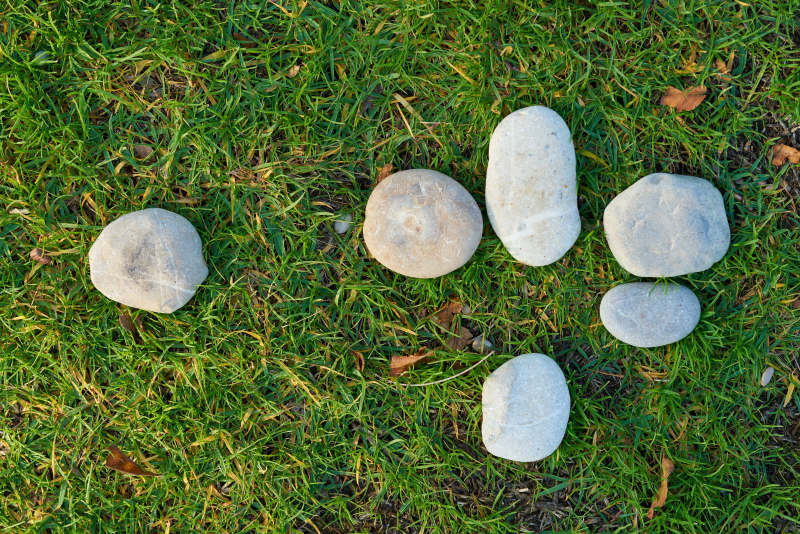 六个草坪草地上灰色的石头Six Gray Stone on Lawn Grass|从上面,公园,在户外,地面,场,增长,夏天,季节,岩石,模式,石头,纹理,绿色,背景,花园,草,草坪上,颜色,鹅卵石-海量高质量免版权图片素材-设计师素材-摄影图片-mitapix-美塔图像