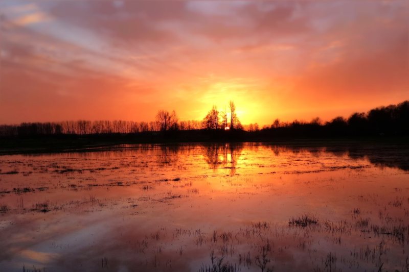 剪影摄影湖和树木Silhouette Photography of Lake and Trees|Backlit,Clouds,dark,Dawn,dusk,evening,fall,Lake,landscape,Light,nature,outdoors,placid,Reflection,silhouette,sun,sunrise,sunset,Trees,Water,云,光,剪影,反射,夜间,太阳,性质,户外,日出,日落,景观,树木,水,波澜不惊,湖,秋天,背光,黄昏,黎明,黑暗-海量高质量免版权图片素材-设计师素材-摄影图片-mitapix-美塔图像