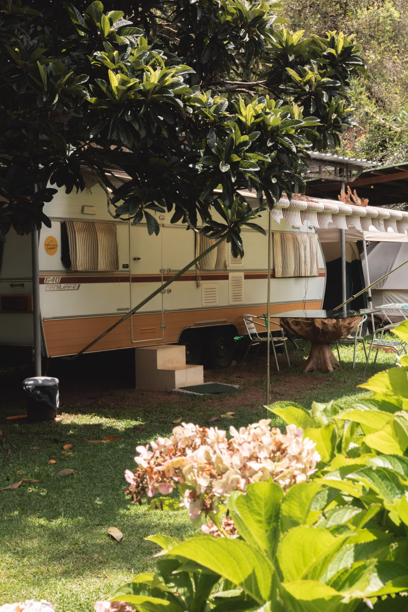 房子旁边的绿叶树Greenleafed Tree Beside House-backyard,bright,campervan,color,Daylight,Flora,Flower,Garden,Grass,House,landscape,nature,outdoors,Park,patio,plants,summer,Travel,Trees,wood,公园,后院,夏天,庭院,户外,房子,旅行,日光,明亮,景观,木材,树木,植物,自然,花,花园,草,露营,颜色-海量高质量免版权图片素材-设计师素材-摄影图片-mitapix-美塔图像