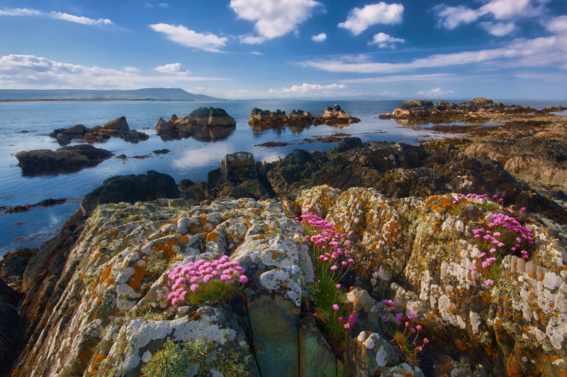 岩层和海洋在白天Rock Formations and Ocean during Day|云,俯拍,县多尼哥,在户外,夏天,天空,岛,岩石,旅行,日落,景观,水,海,海岸,海景,海洋,海滨,海滩,湖,湾,爱尔兰,粉红色的,绿,自然,花,长满青苔的石头,颜色,风景优美的-海量高质量免版权图片素材-设计师素材-摄影图片-mitapix-美塔图像