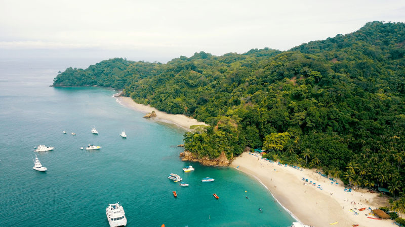 湾滩高角度拍摄|冲浪,夏天,天空,岛屿,度假,户外,放松,旅游,树木,水,沙滩,海景,海洋,海浪,海湾,海滨,海滩,热带,田园风光,绿松石,自然,船只,风景,高角度拍摄-海量高质量免版权图片素材-设计师素材-摄影图片-mitapix-美塔图像