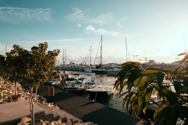 绿色的树附近的水域Green Trees Near Body of Water|bay,boats,Clouds,daytime,dock,harbor,landscape,marina,maritime,outdoors,pier,port,sailboats,ship,Sky,transportation system,Trees,Water,watercrafts,yachts,云,坞站,天空,帆船,户外,景观,树木,水,海事,港口,游艇,湾,玛丽娜,白天,码头,端口,船,船只,船舶,运输系统-海量高质量免版权图片素材-设计师素材-摄影图片-mitapix-美塔图像