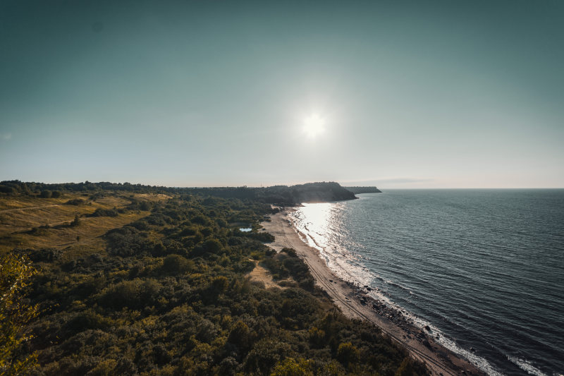 沙滩正面概览图片-地平线,大海,树木,水,海岸,海岸线,海景,海洋,海滨,海滩,海滩前沿,自然,阳光,风景-海量高质量免版权图片素材-设计师素材-摄影图片-mitapix-美塔图像