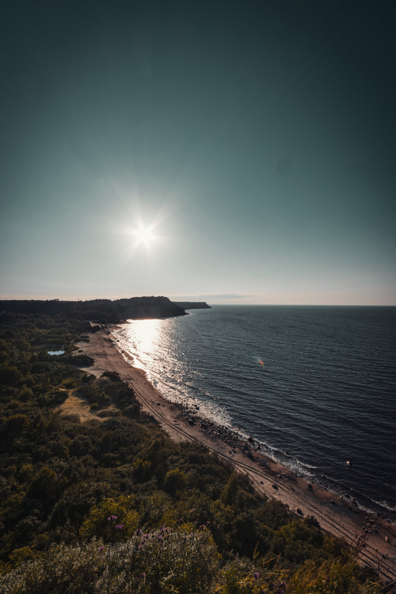 沙滩正面俯视图|地平线,大海,树木,水,海景,海洋,海滨,海滩,海滩前沿,自然,阳光,风景-海量高质量免版权图片素材-设计师素材-摄影图片-mitapix-美塔图像