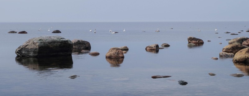 摄影的棕色岩石附近的水域在白天Photography of Brown Rocks Near Body of Water at Daytime|beach,birds,Dawn,Daylight,dusk,island,landscape,nature,Ocean,outdoors,rocks,sand,scenic,Sea,seascape,seashore,shore,Sky,summer,sunrise,sunset,Travel,vacation,Water,Wave,waves,夏季,夏时制,天空,岛,岩,岸,度假,性质,户外,旅行,日出,日落,景区,景观,水,沙,波,波浪,海,海景,海洋,海滨,海滩,鸟,黄昏,黎明-海量高质量免版权图片素材-设计师素材-摄影图片-mitapix-美塔图像