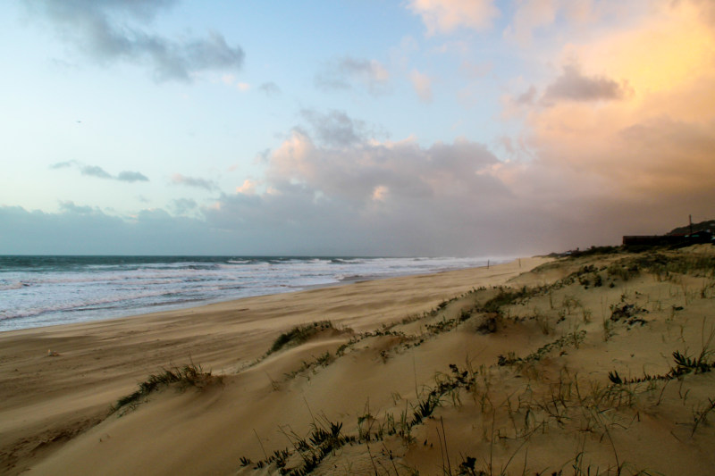 海滨在蓝天和白色云彩下观看Seashore Under Blue Sky and White Clouds View|beach,Clouds,dune,Grass,landscape,nature,Ocean,outdoors,sand,Sea,seascape,seashore,shore,Sky,Water,waves,云彩,天空,岸,户外,水,沙丘,沙子,波浪,海,海景,海洋,海滨,海滩,自然,草,风景-海量高质量免版权图片素材-设计师素材-摄影图片-mitapix-美塔图像