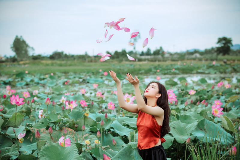 抛粉色花瓣的女人|人,女人,女孩,植物,盛开,美丽,花,花瓣-海量高质量免版权图片素材-设计师素材-摄影图片-mitapix-美塔图像