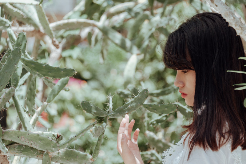 仙人掌旁一名女子拍照|人,仙人掌植物,休闲,侧视图,头发,女人,女孩,户外,美丽,肖像-海量高质量免版权图片素材-设计师素材-摄影图片-mitapix-美塔图像