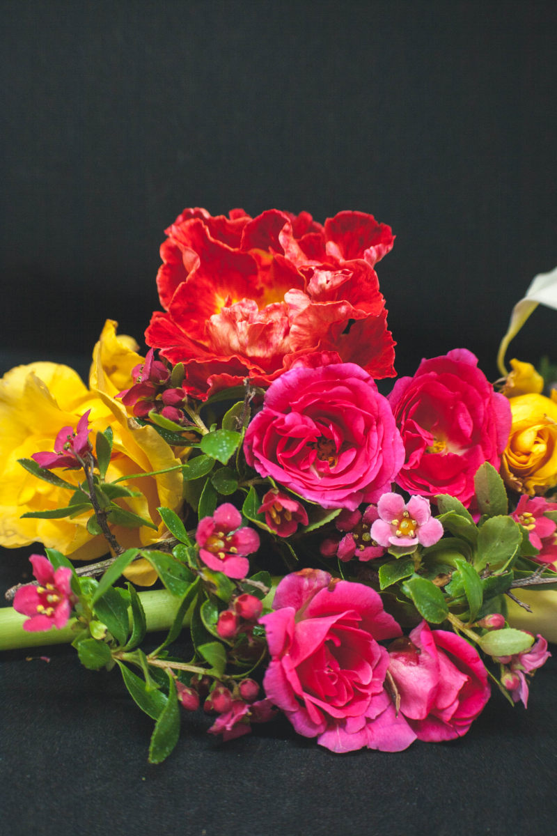 黑色表面上各种鲜花的照片Photo of Assorted Flowers on Black Surface|叶子,布鲁姆,开花,明亮的,植物区系,浪漫,浪漫的,爱,玫瑰,盛开的,精致的,美丽的,花,花朵的花束,花束,花瓣,装饰,颜色,黑色背景-海量高质量免版权图片素材-设计师素材-摄影图片-mitapix-美塔图像