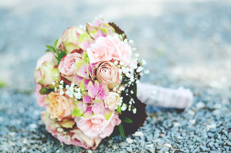 束粉红色和白色有花瓣的花朵Bouquet of Pink-and-white Petaled Flowers|叶子,新娘花束,束花,植物区系,模糊的背景,玫瑰,盛开的,美丽的,花,花束,花瓣,颜色,鹅卵石-海量高质量免版权图片素材-设计师素材-摄影图片-mitapix-美塔图像