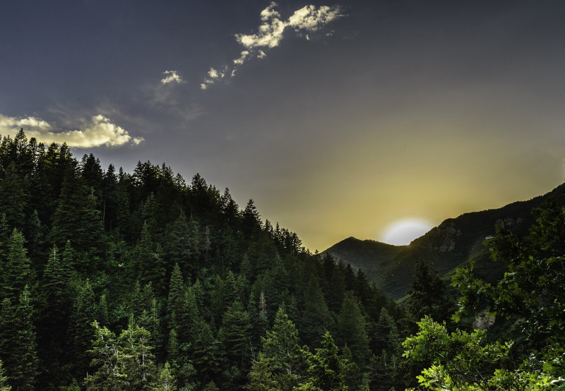 森林日出视图Forest Sunrise View|云,俯拍,在户外,夏天,天空,太阳,山,旅行,日光,日落,景观,树,森林,环境,秋天,美丽的景色,自然,金色的小时,针叶树,阳光,雾,风景优美的,黎明-海量高质量免版权图片素材-设计师素材-摄影图片-mitapix-美塔图像