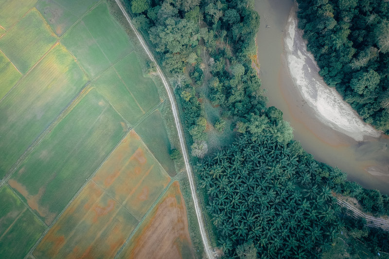 鸟瞰图摄影的树Aerial View Photography of Trees|bird's eye view,Bloom,Blooming,Blossom,bright,colorful,Colors,countryside,Daylight,environment,Grass,green,Growth,landscape,Leaves,nature,outdoors,plants,River,road,rural,scene,scenery,scenic,sunlight,Trees,Water,农村,叶子,场面,增长,多彩,开花,性质,户外,明亮,景观,树木,植物,水,河,环境,白天,绽放,绿色,草,路,阳光,颜色,风景,鸟瞰-海量高质量免版权图片素材-设计师素材-摄影图片-mitapix-美塔图像