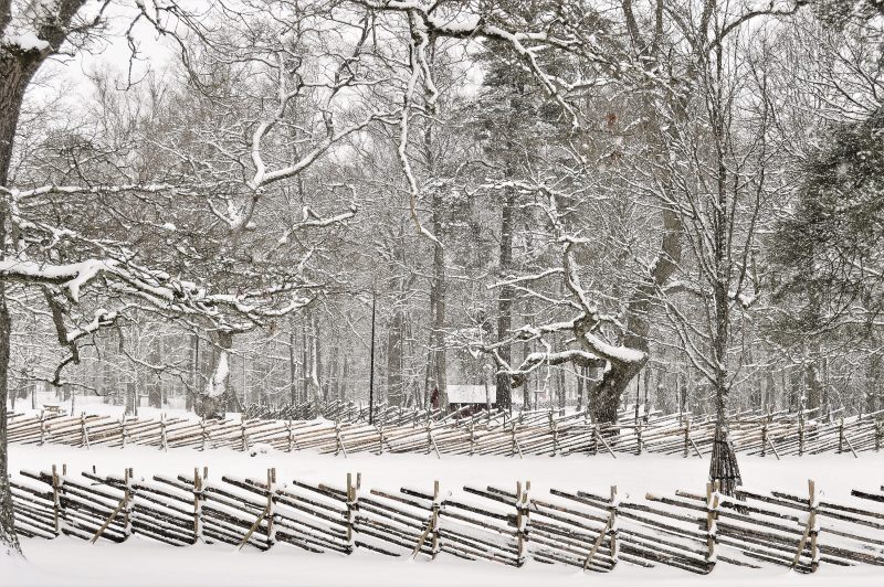 雪覆盖的森林Snow Covered Forest|black-and-white,branches,cold,Daylight,fence,forest,freezing,frost,frosty,frosty weather,frozen,House,ice,icy,landscape,nature,outdoors,outside,Park,scene,scenic,Season,Sky,snow,snow capped,snowy,Trees,weather,winter,winter landscape,woods,公园,冬季,冬季景观,冰,冰冷,冷,冻结,分支机构,围栏,夏时制,外,天气,天空,季节,寒冷的天气,性质,户外,房子,景区,景观,树木,树林,森林,现场,雪,雪皑皑,霜,霜冻,黑白-海量高质量免版权图片素材-设计师素材-摄影图片-mitapix-美塔图像