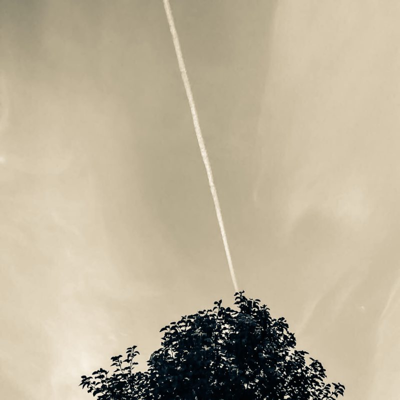 绿叶树多云的天空下Green Leaf Tree Under Cloudy Sky|black-and-white,Clouds,dark clouds,environment,Leaves,nature,outdoors,scenic,silhouette,Sky,smoke,tree,乌云,云,剪影,叶子,天空,户外,景区,树,烟雾,环境,自然,黑色和白色-海量高质量免版权图片素材-设计师素材-摄影图片-mitapix-美塔图像